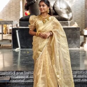 Glowing Pure Silk (Sarees)