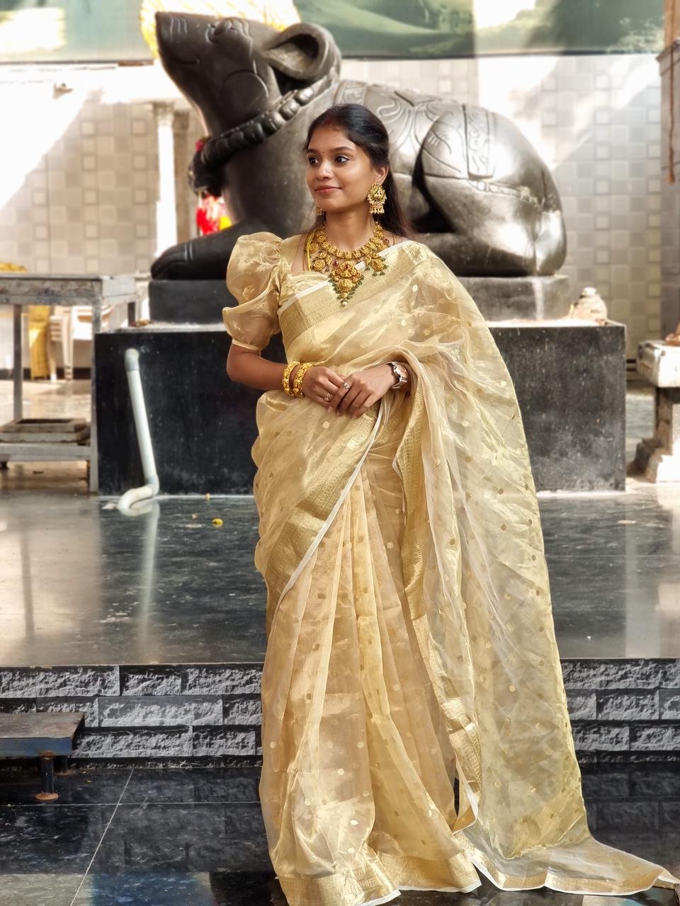 Glowing Pure Silk (Sarees)